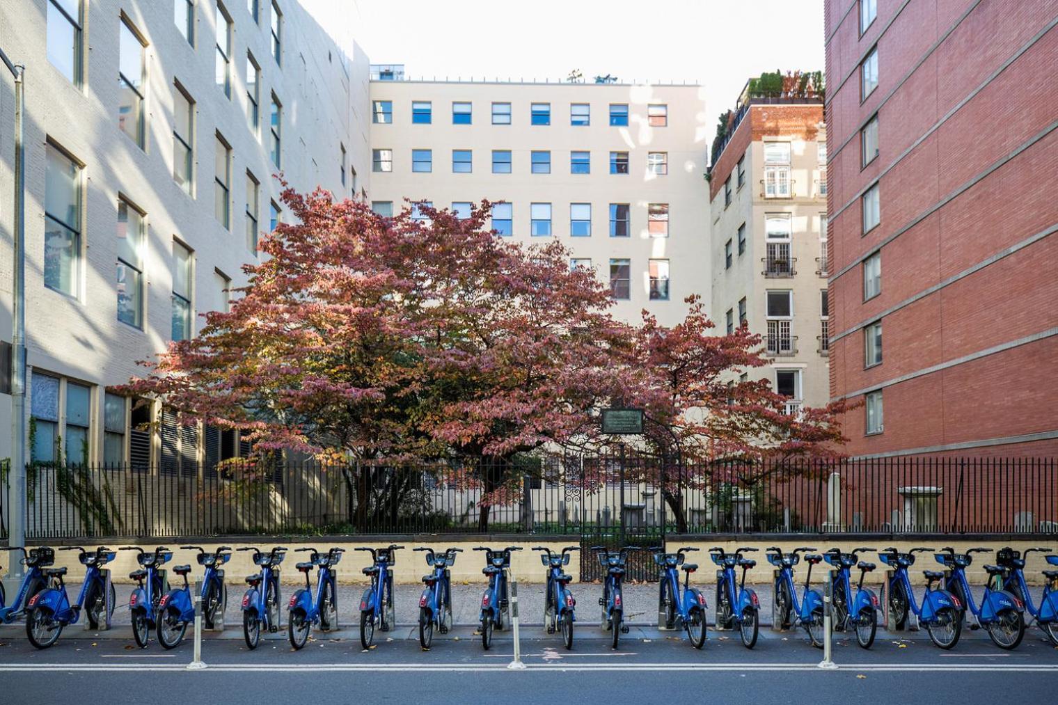 Apartment Chelsea 1br W Doorman Gym Nr Union Square Nyc-1240 New York